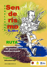 WhatsApp Image 2023-11-28 at 13.21.52