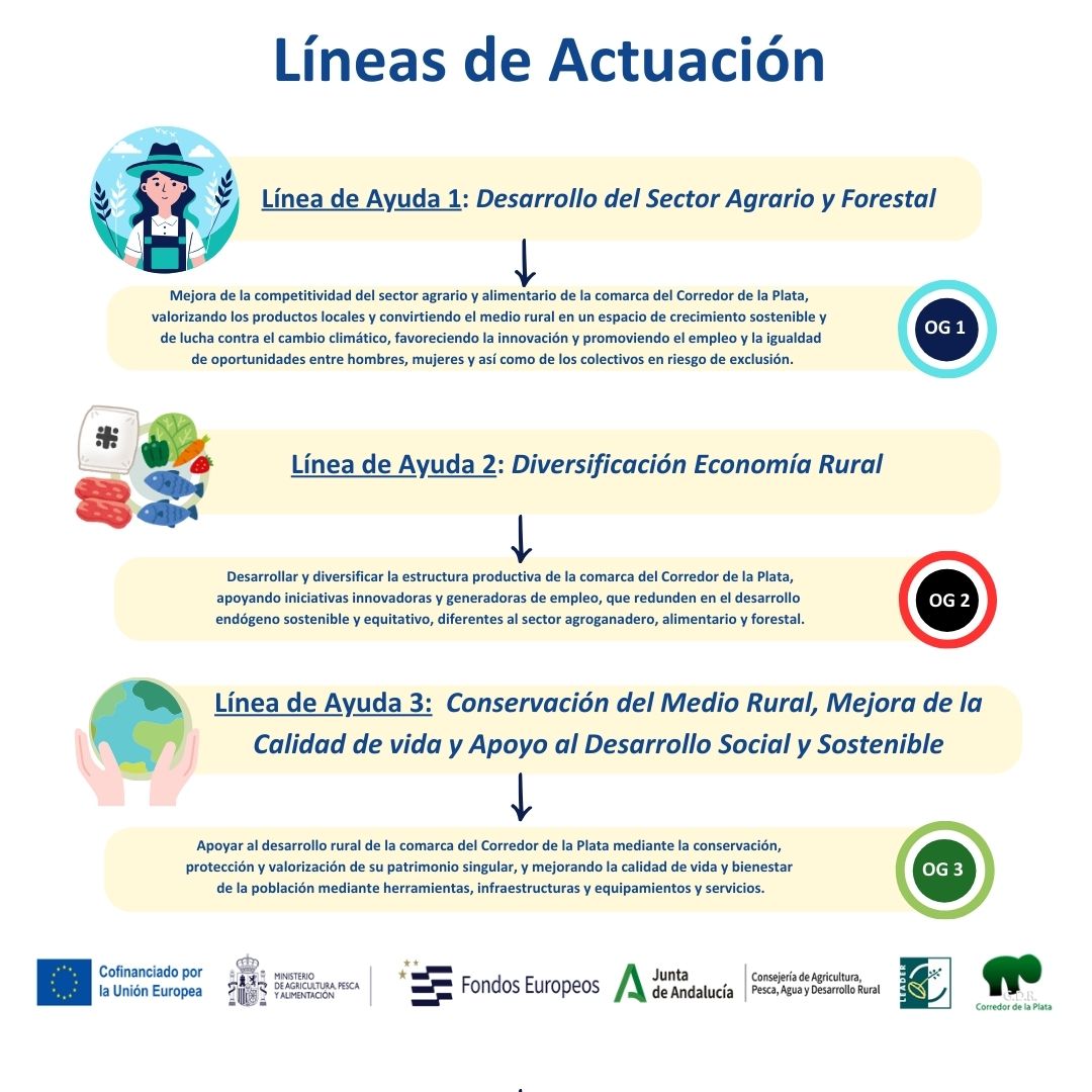 1 Líneas Actuación