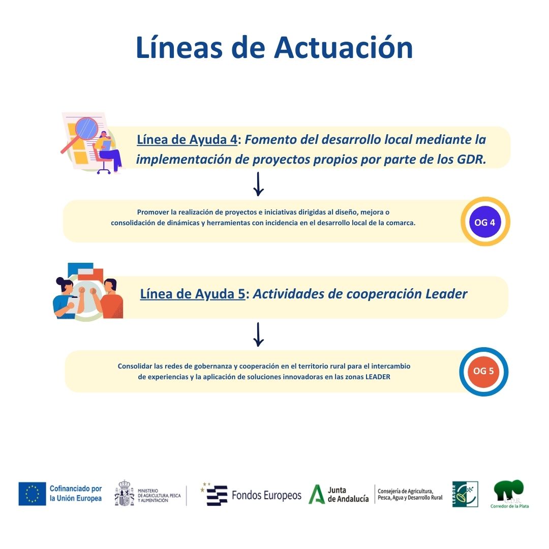 2 Líneas de Actuación