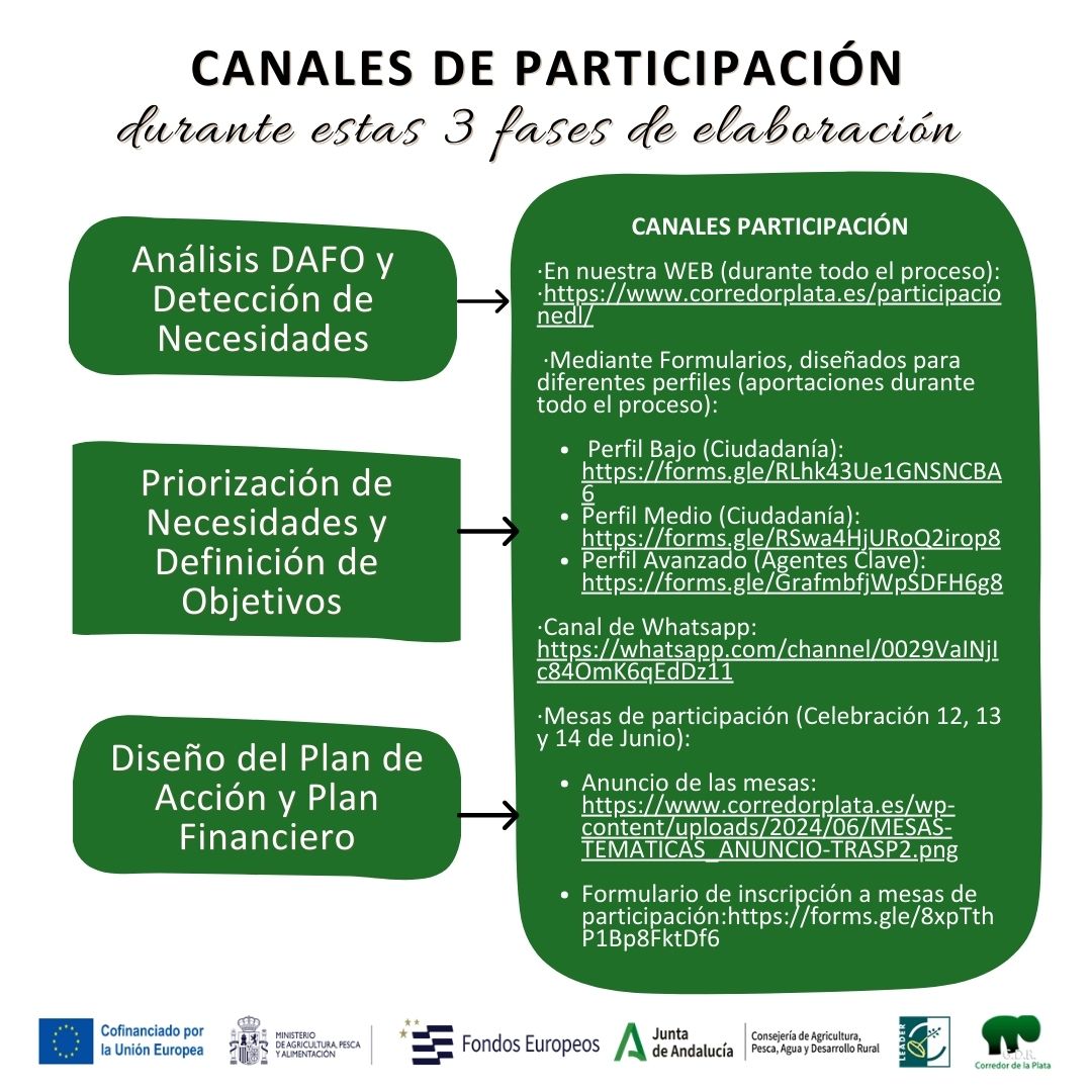 2b PARTICIPACIÓN EDLL DEF