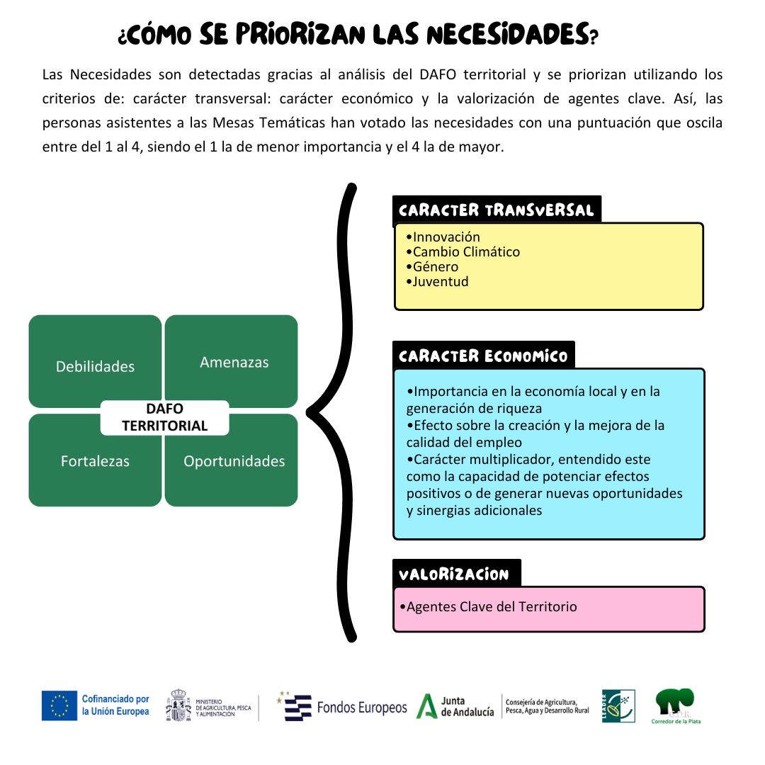 4. Priorización necesidades
